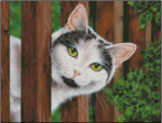 (image for) Howdy Neighbor